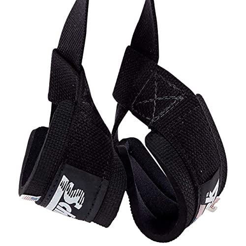 Schiek Ab Strap for Cable Machines Superior Comfort Pull Up Straps for Women and Men - Image 1