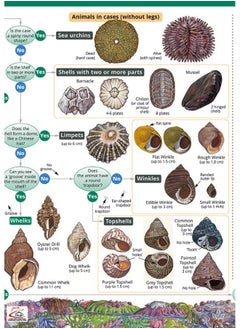 Rocky Shore Name Trail Chart  - Image 1