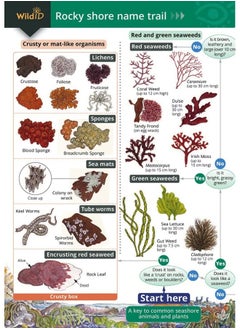 Rocky Shore Name Trail Chart  - Image 2