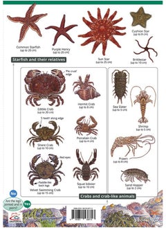 Rocky Shore Name Trail Chart  - Image 3