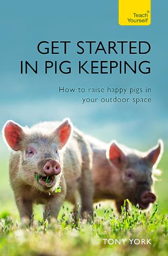 Get Started In Pig Keeping How To Raise Happy Pigs In Your Outdoor Space