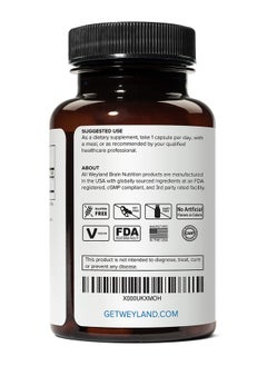 Weyland Brain Nutrition Weyland Egcg From Green Tea Extract 400 Mg Antioxidant Supplement Vegan Gluten Free 100 Vegetarian Capsules (Pack Of 3)  - Image 3