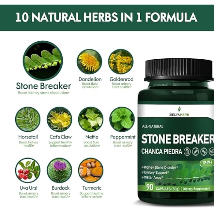 Selvaherb Stone Breaker (Chanca Piedra) Capsules for Kidney Stone Dissolve, Urinary Support & Water Away Herbal Supplements w/Horsetail Uva Ursi Goldenrod Dandelion Cat's Claw Extract. 90 Count - Image 4