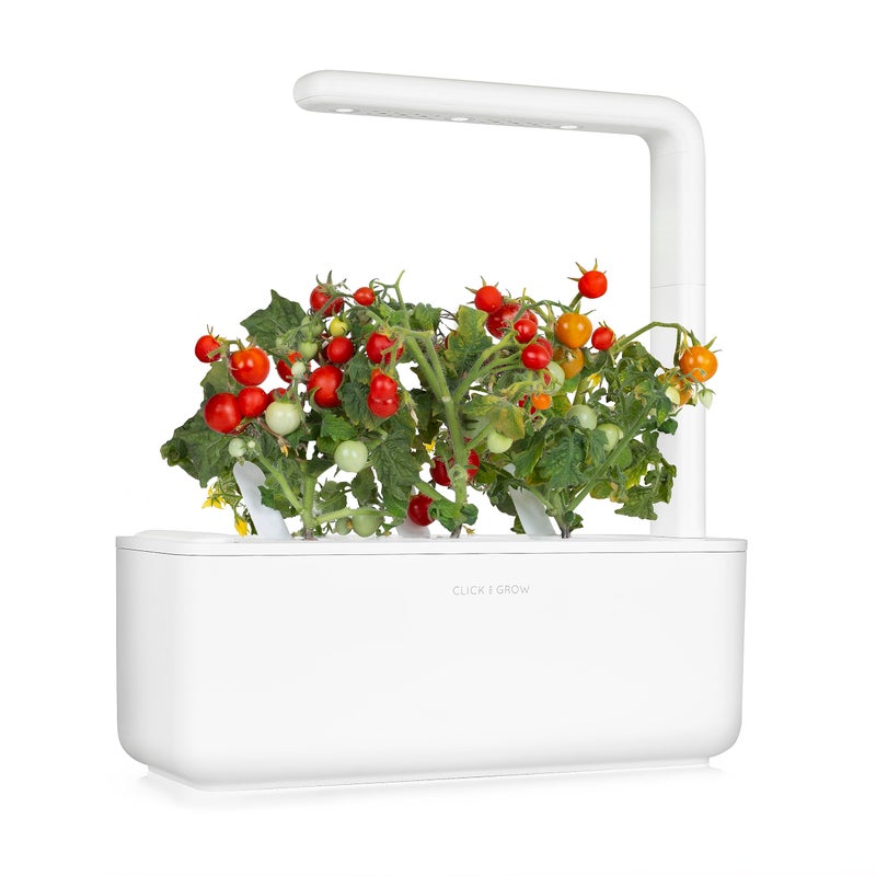 CLICK AND GROW أقراص نبات الطماطم الصغيرة من كليك آند جرو، عبوة 3 قطع - Image 3