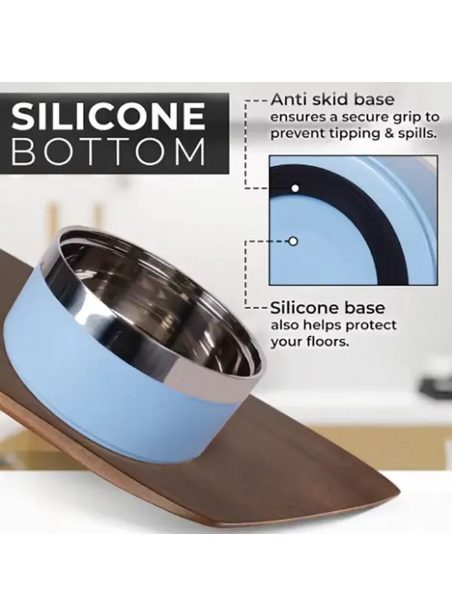 Double Layer Stainless Steel Pet Bowl With Non Slip Blue Base Easy Clean Design - Image 1
