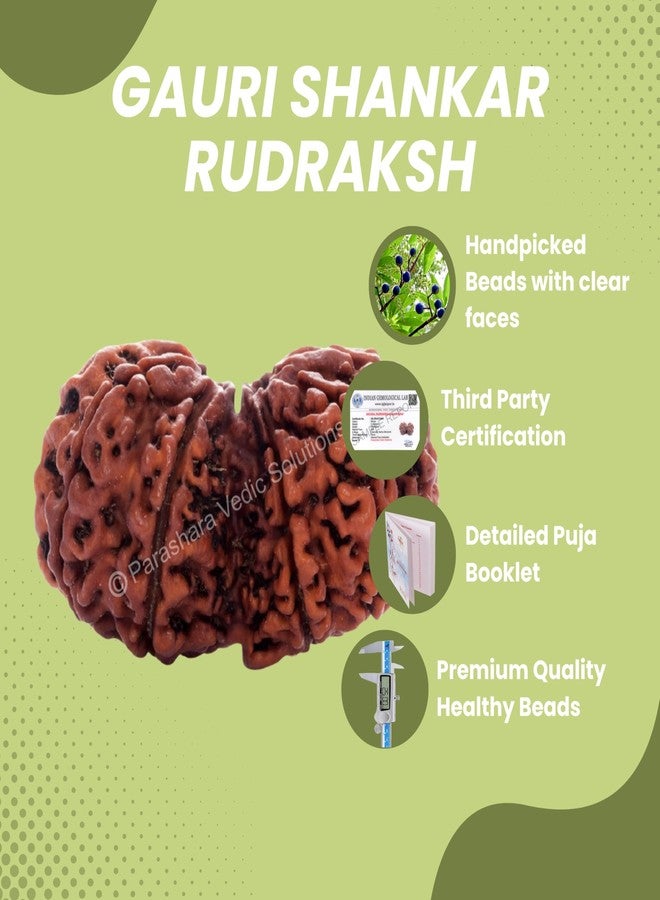 ARKAM Gauri Shankar Rudraksha Certified/Original Nepali Gauri Shankar Rudraksh/Natural Gauri Shankar Rudraksha (Brown) with Certificate and Puja Instructions - Image 3
