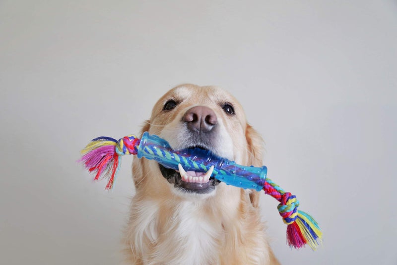 Petstages Orka Stick Alternative Dog Chew Toy - Image 3