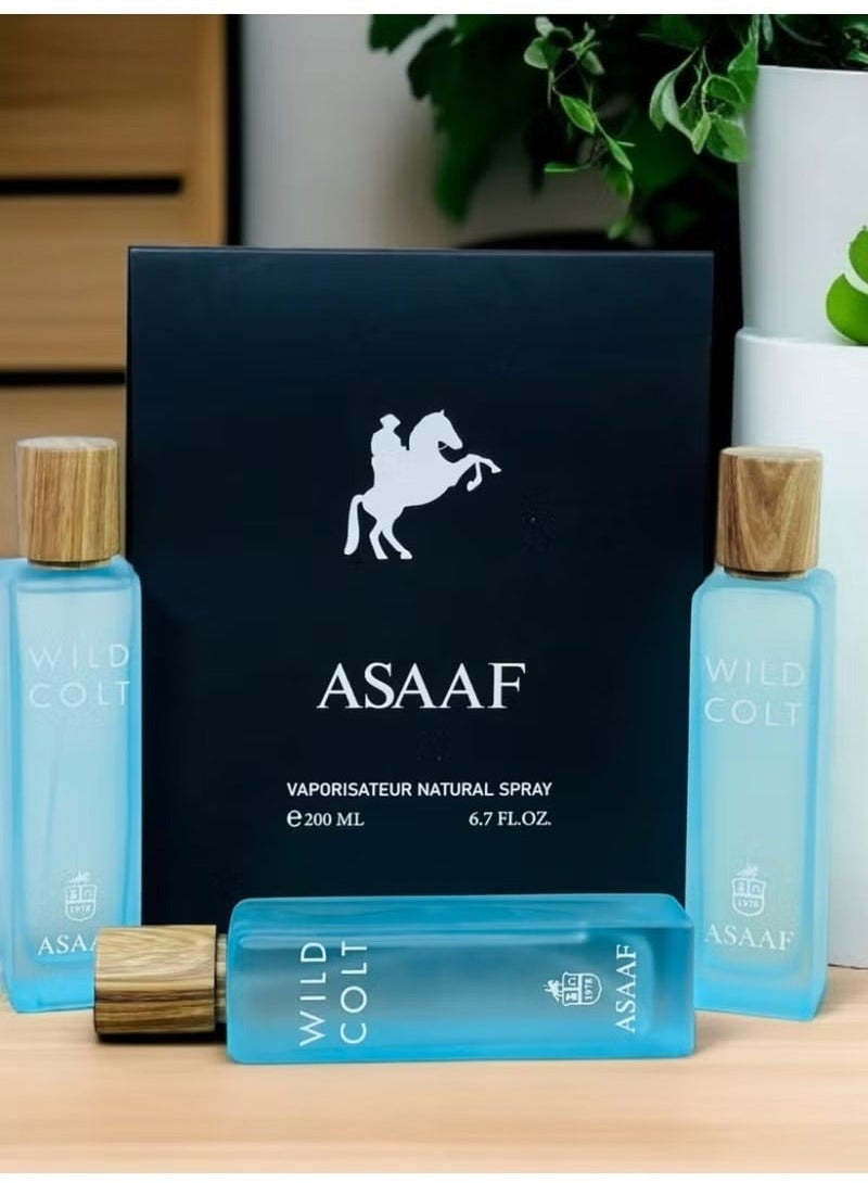 ASAAF Wild Colt EDP 3 * 200ml - Image 3