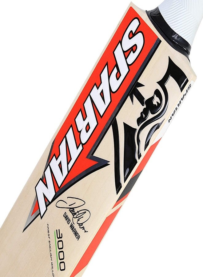 TOSKA Wooden TK-Spartan Cricket Bat Full Size Popular Willow Cricket BAT for Tennis Ball, Rubber Ball - Image 4