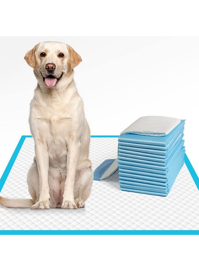 وسادات تدريب التبول وتدريب استخدام المرحاض للكلاب الكبيرة الحجم 90×60 سم، 50 قطعة، مناسبة للكلاب الكبيرة والقطط والجراء، فائقة الامتصاص - Image 1