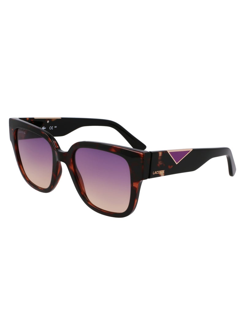 FULL RIM ACETATE INJECTED LACOSTE SUNS L6044S 5420 (272) HAVANA BEIGE