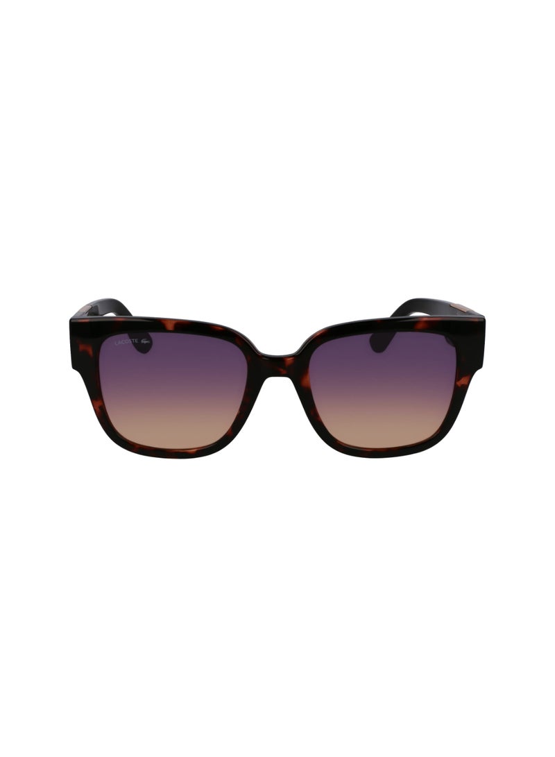 FULL RIM ACETATE INJECTED LACOSTE SUNS L6044S 5420 (272) HAVANA BEIGE