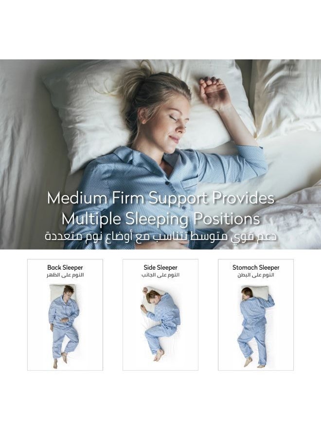 Cotton Pillow 1-Piece 1200 Gm King Size Bed Pillow 50X75 Cm Hotel Style Striped Double Edge Stitched Premium Gel Fiber, Soft Loft, Moon White - pzsku/Z36E751021DF3BA8681DDZ/45/_/1690388873/b8d25680-9ada-4b12-8b27-9b24254b9d68