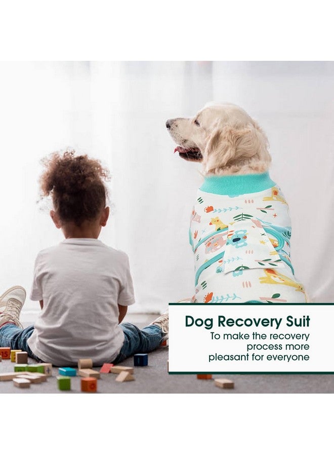 Kuoser Recovery Suit for Dogs Cats After Surgery, Professional Pet Recovery Shirt Dog Abdominal Wounds Bandages, Substitute E-Collar & Cone,Prevent Licking Dog Onesies Pet Surgery Recovery Suit - Image 5