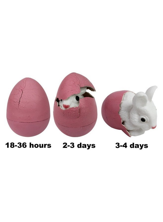 SCS Direct Easter Grow Pets for Kid Egg Hunt- 5 Pk- Hatch Surprise Animals That Expand 5-6x in Water-Cat, Bird or Frog - Great Candy Alternative & Basket Stuffers- Make Your Next Scavenger Hunt Extra Special! - Image 2