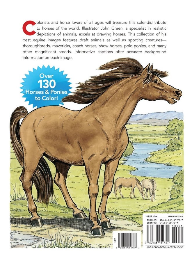 Dover Big Book of Horses to Color  - Image 2