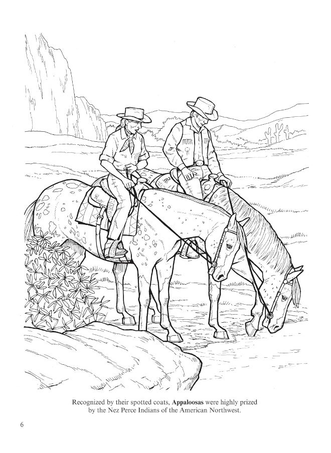 Dover Big Book of Horses to Color  - Image 4