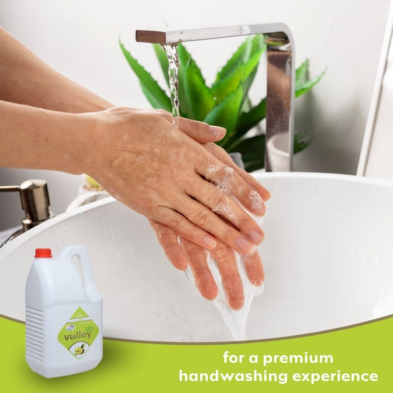VALLEY 5 LTR Liquid Handwash Lemon Refreshing Antibacterial Formula Soft on Skin LongLasting Hygiene Suitable for Home Gentle Lemon Fragrance Powerful Germ Protection 1pcs - Image 2