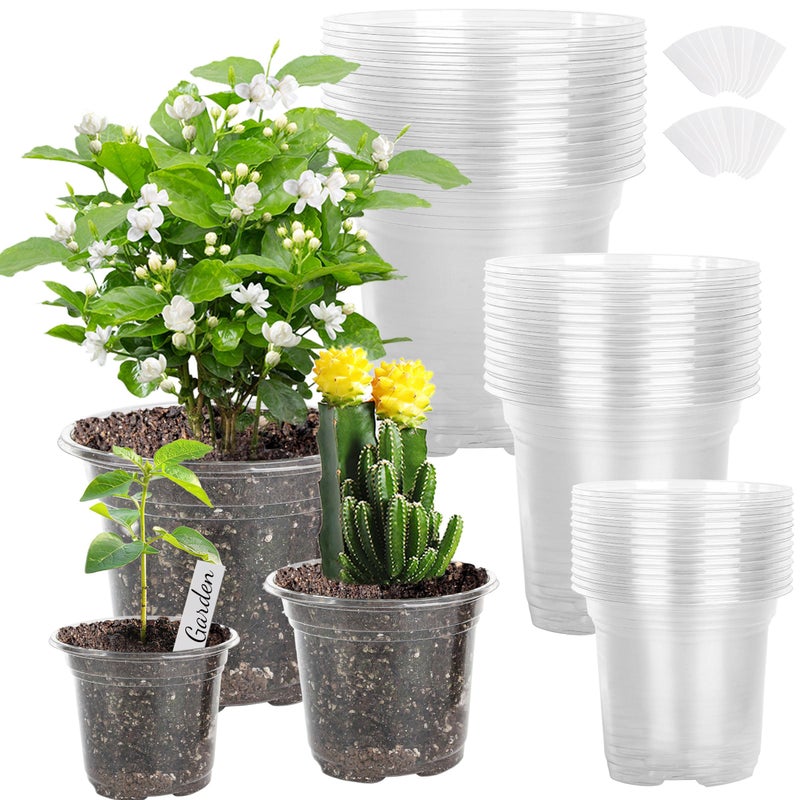 LOCONHA Small Plastic Plant Nursery Pot/Pots (36 Packs 5/4/3.5 Inch Plant Pot and 40 Plant Labels) Seedlings Flower Plant Container (Transparent) Seed Starting Pots Indoor Outdoor - Image 1