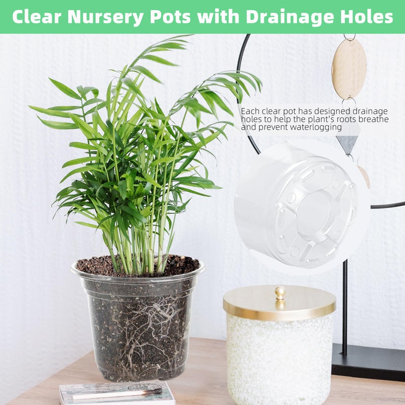 LOCONHA Small Plastic Plant Nursery Pot/Pots (36 Packs 5/4/3.5 Inch Plant Pot and 40 Plant Labels) Seedlings Flower Plant Container (Transparent) Seed Starting Pots Indoor Outdoor - Image 3
