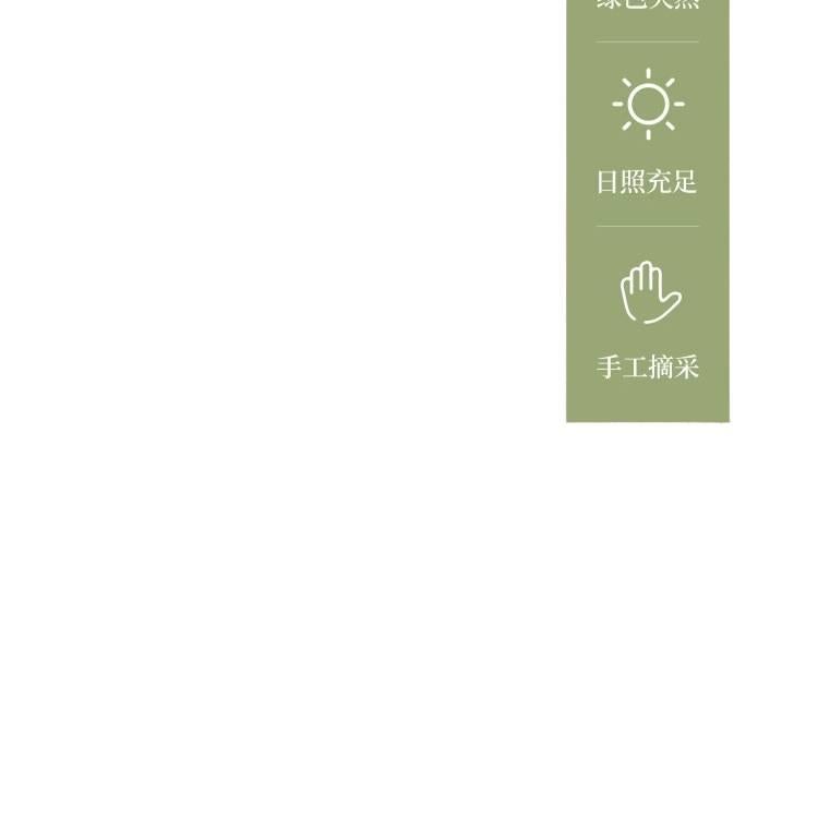 ملابس داخلية نسائية للاستعمال مرة واحدة، عبوة من 30 قطع، مقاس L للسفر من القطن للهدايا للاستخدام الشخصي للطاولة - Image 3