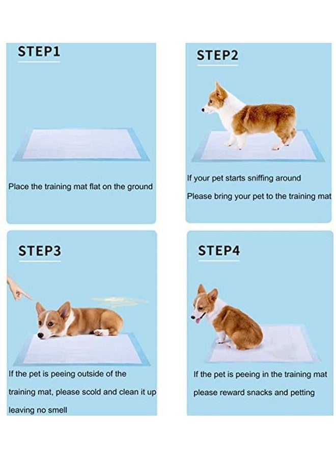 وسادات التبول والتبول لتدريب الكلاب مع سطح سريع الجفاف ولب ماص مناسب لجميع سلالات الجراء والكلاب والقطط - (عبوة من 25 قطعة) الحجم - 60 طول × 45 ارتفاع - كبير جدًا - Image 5