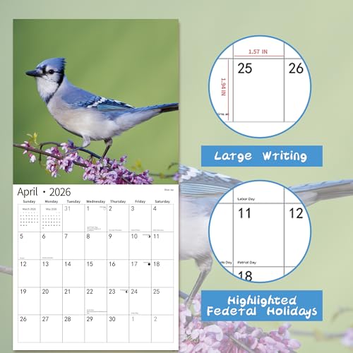 windrio 2026 Wall Calendar,Calendar 2026, November 2025 - December 2026, Wall Calendar Song Birds, 12" x 24" Opened,Full Page Months Thick & Sturdy Paper for Calendar Organizing & Planning - Image 3