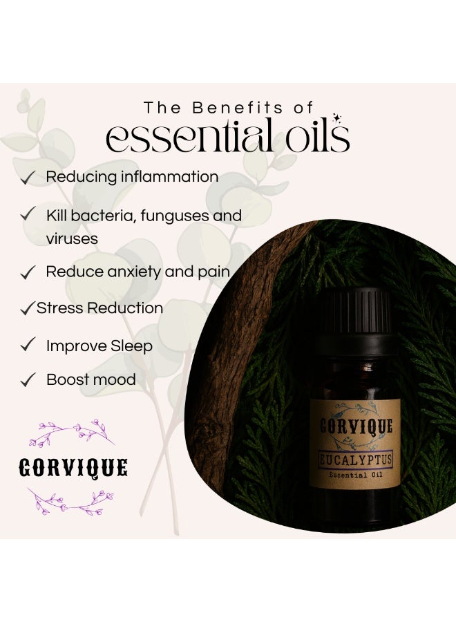 Gorvique Essential Oil, Aromatherapy Diffuser Fragrance Oil for Home 100% Pure & Undiluted Therapeutic Grade | Scent, Spa, Relaxation, Meditation & Yoga - Image 5