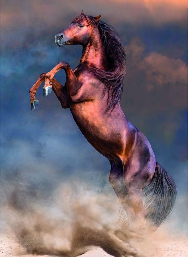 Clementoni 500 Piece Hqc Puzzle – Wild Red Stallion | High Quality Collection Jigsaw Puzzle For Adults And Kids - Image 4