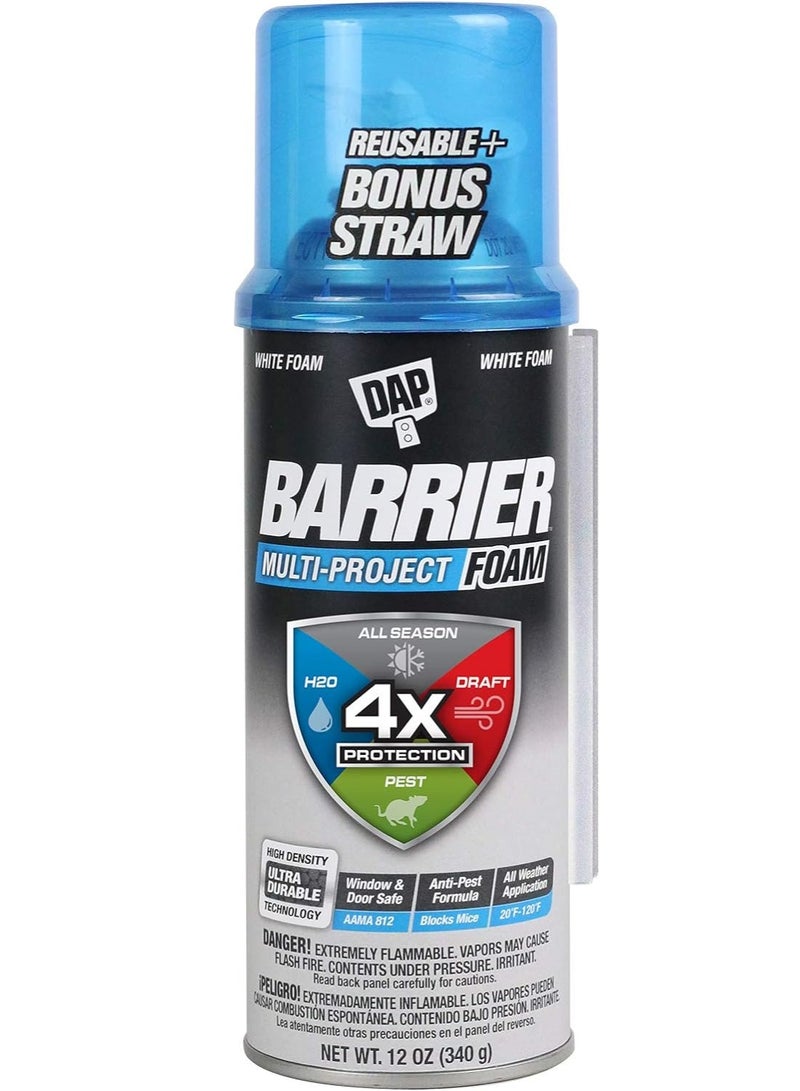 Dap Multi Project Foam Sealant 340 G - Image 1