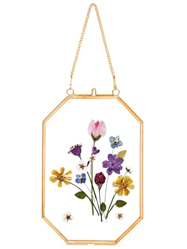 REDHUGO Pressed Flower Frames Glass Floating Frames for Display Dried Plant Specimen Picture Hanging Brass Photo Frame with Chain Double Clear Glass Vintage Wall Decor Octagon Gold 4x6 Inches