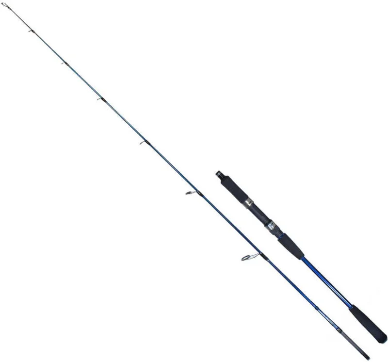 Ryuji Strobe II 1.98M 80-170GR 2p Jigging Fishing Rod Standard-Standard