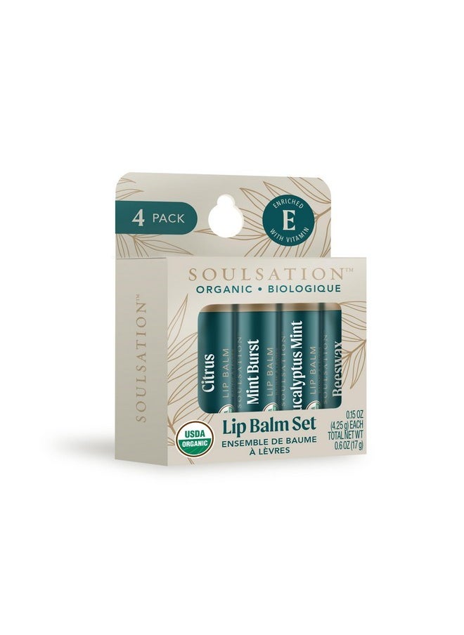 SOULSATION Soulsation Organic Lip Balm Set, 4PK 