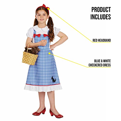 fun shack Dorothy Costume for Girls, Wizard of Oz Costumes for Kids, Girls Halloween Costume, Halloween Costume for Kids, Medium - Image 3