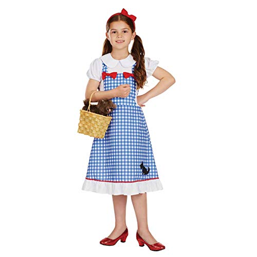 fun shack Dorothy Costume for Girls, Wizard of Oz Costumes for Kids, Girls Halloween Costume, Halloween Costume for Kids, Medium - Image 1