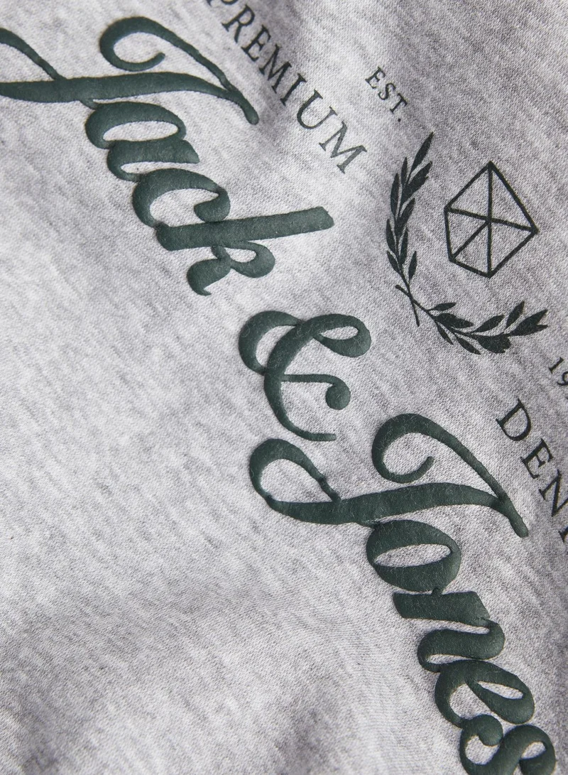 Jack & Jones Junior Youth Logo Hoodie
