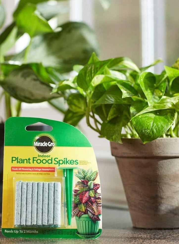Miracle-Gro Indoor Plant Food Spikes, Includes 24 Spikes - Continuous Feeding for all Flowering and Foliage Houseplants - Image 2