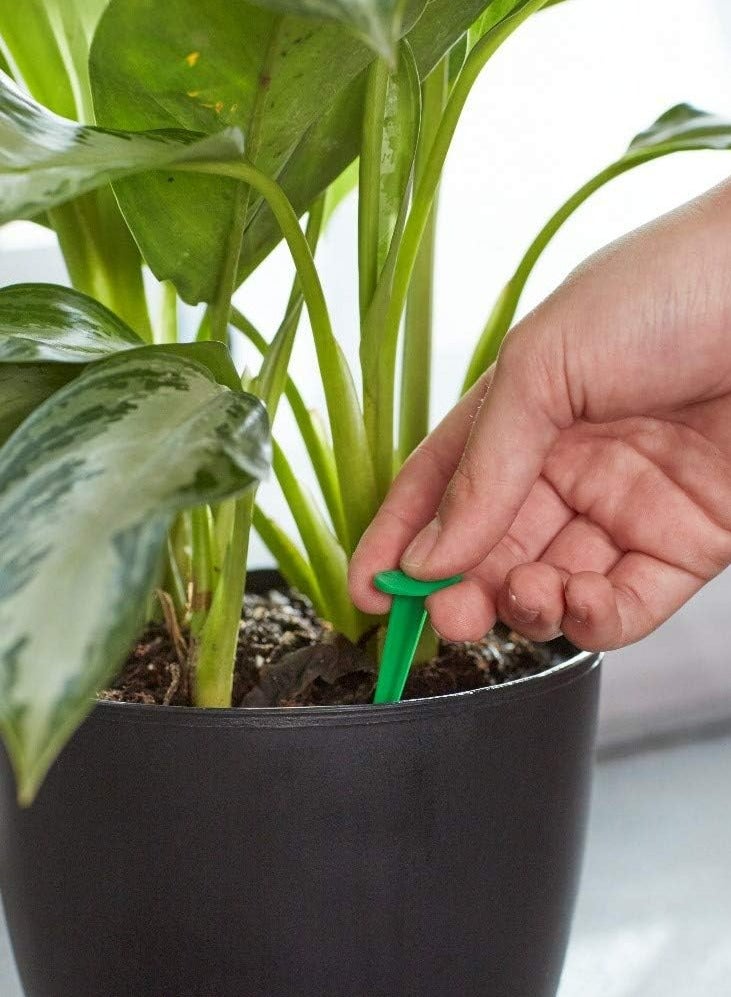 Miracle-Gro Indoor Plant Food Spikes, Includes 24 Spikes - Continuous Feeding for all Flowering and Foliage Houseplants - Image 3