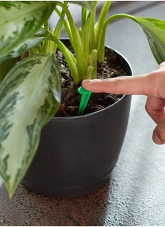 Miracle-Gro Indoor Plant Food Spikes, Includes 24 Spikes - Continuous Feeding for all Flowering and Foliage Houseplants  - Image 4