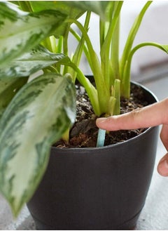 Miracle-Gro Indoor Plant Food Spikes, Includes 24 Spikes - Continuous Feeding for all Flowering and Foliage Houseplants  - Image 5