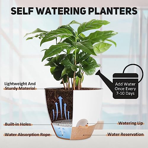 YNNICO 12 Inch Large Self Watering Plant Pot Set, Flower Pots with Multi-Mesh Drainage Holes and Saucer, Suitable for Indoor and Outdoor Garden Plants, White. - Image 3