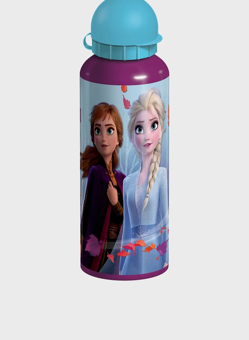 Disney FROZEN Frozen Ii Metal Water Bottle