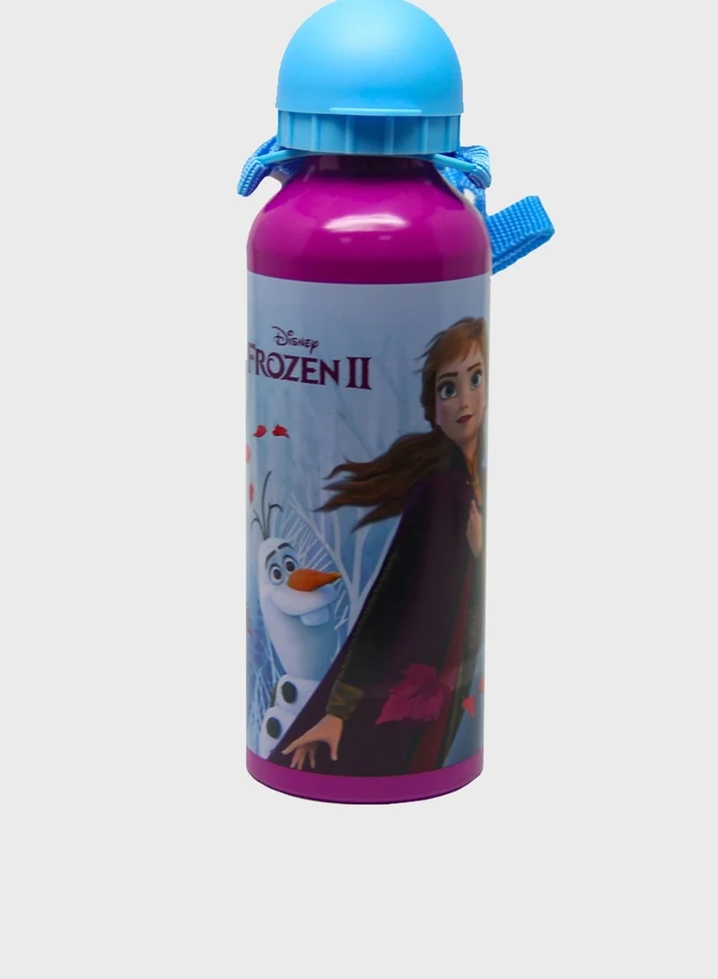 Disney FROZEN Frozen Ii Metal Water Bottle