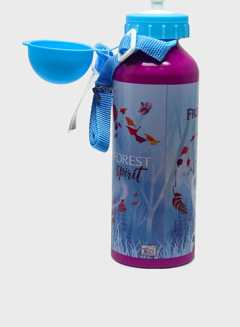 Disney FROZEN Frozen Ii Metal Water Bottle