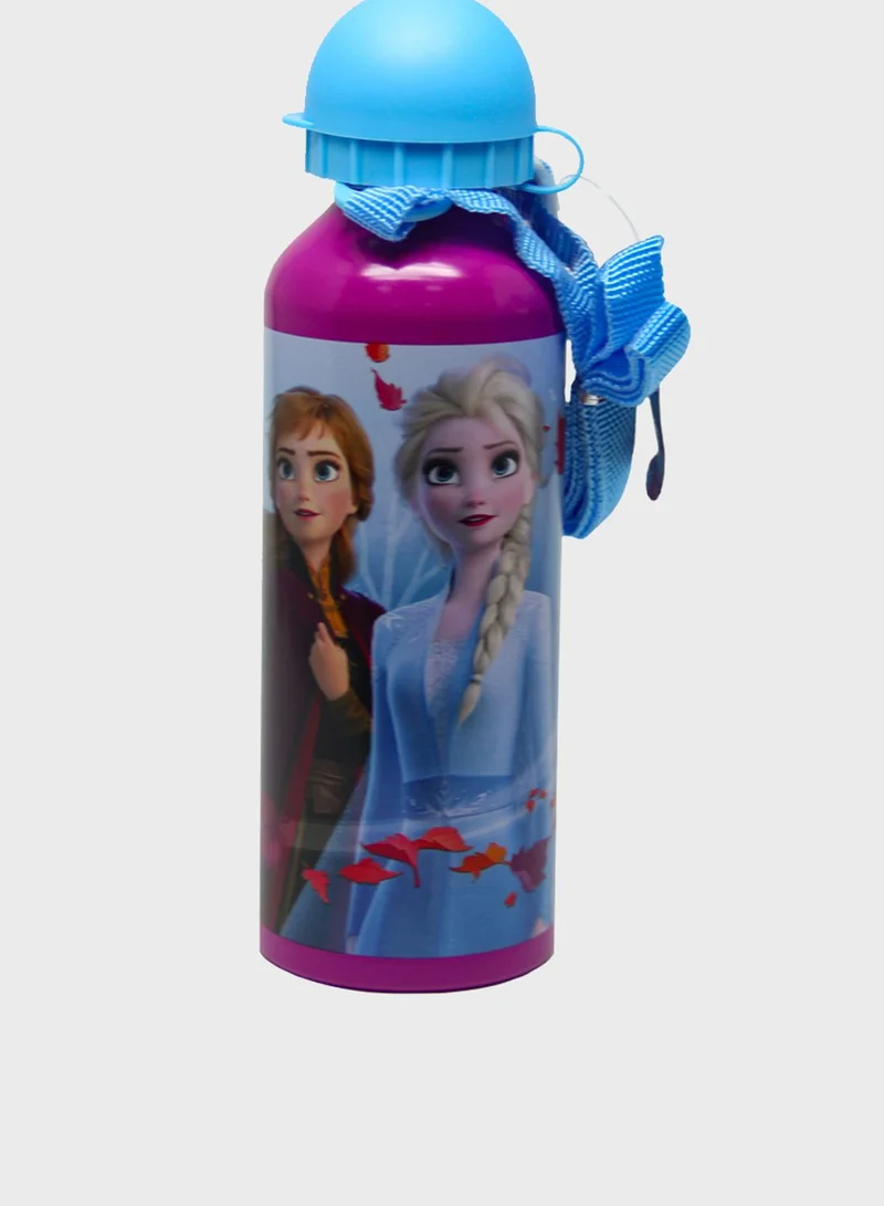 Disney FROZEN Frozen Ii Metal Water Bottle