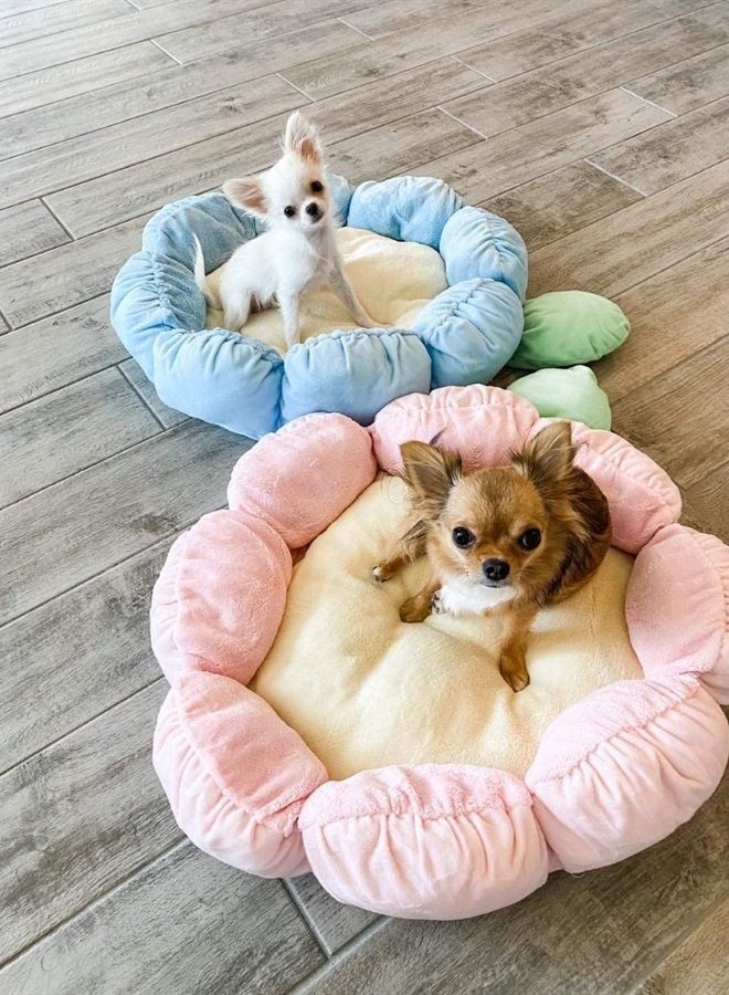 Soft Plush Small Cute and Cozy Pastel Pink Flower Dog Cat Bed, Washer and Dryer Friendly, (Pastel Pink)