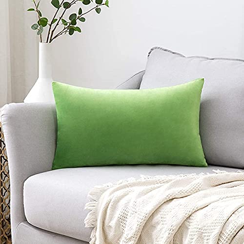 Blue Monkey Soft Velvet Cushion Cover Soft Throw Pillow Cover Pack of 2, Solid Square Cushion Case (18x27, Green) - Image 5