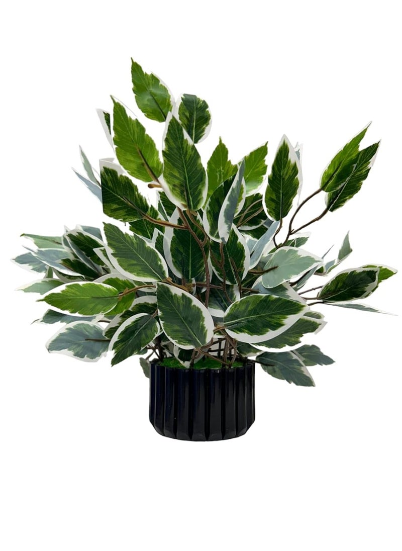Oak Leafs Oak Leafs Artificial ficus Plant with Elegant Black Plastic Pot Decoration Plants for Home Office Bedroom Living Room Indoor Desk Decor White ficus 