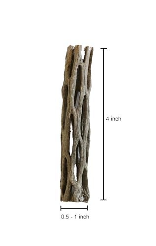 SoShrimp Natural Cholla Wood for Aquarium Decoration Shrimp and Fish Tank (4 Inch (3 Pack)) - Image 5