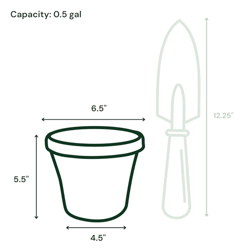 Bloem Terra 6" Diameter Round Terra Cotta Resin Planter Pot with Drainage Holes for Indoor and Outdoor Gardening - Image 3